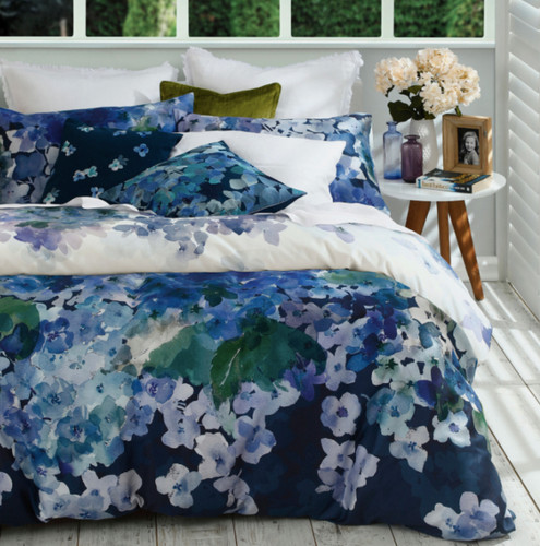 Linen hydrangea super king - hydrangea,